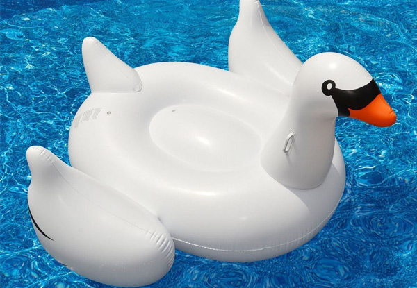 Giant Swan Floating Pool Toy with Free Delivery