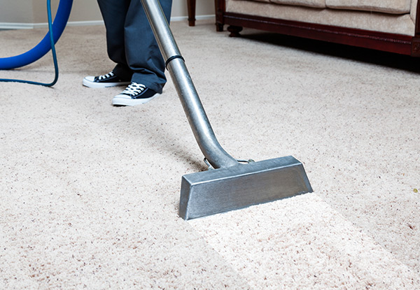 Professional Carpet Cleaning for Three Rooms - Options for up to Six Rooms - Wellington & Kāpiti Locations Available