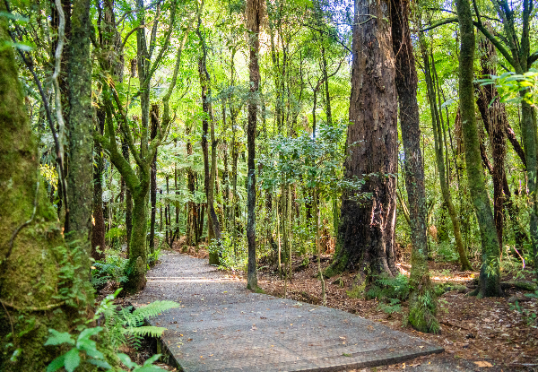 Up to 40% Off, Visit Pukaha National Wildlife Centre - Options for Single Adult Entry with Morning or Afternoon Tea, a Premium Half Day Experience for Two Adults, or a Family Guided Experience