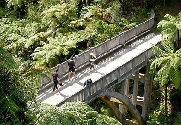 Five-Day Canoe Safari Down the Wanganui River incl. Experienced Guide, Overnight Camping, Bridge to Nowhere Walk, Three-Course Meals & All Camping Gear