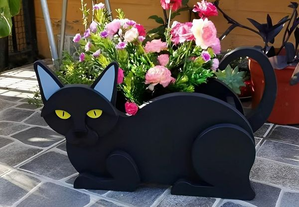 Novelty Cat Lanter Plant Pot - Available in Four Colours & Option for Two-Pack