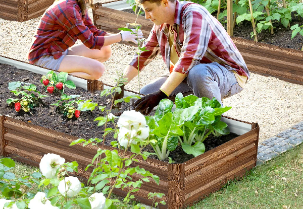 Raised Steel Garden Bed - Available in Two Colours & Two Sizes