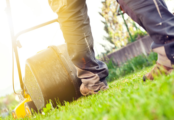 Lawn Mowing and/or Gardening - Options for up to Four-Hours of Service