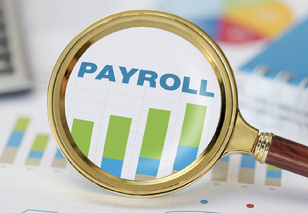 Introduction to Payroll Systems Diploma