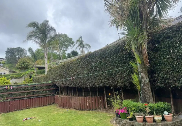 Two or Four Hours of Garden Maintenance Services
