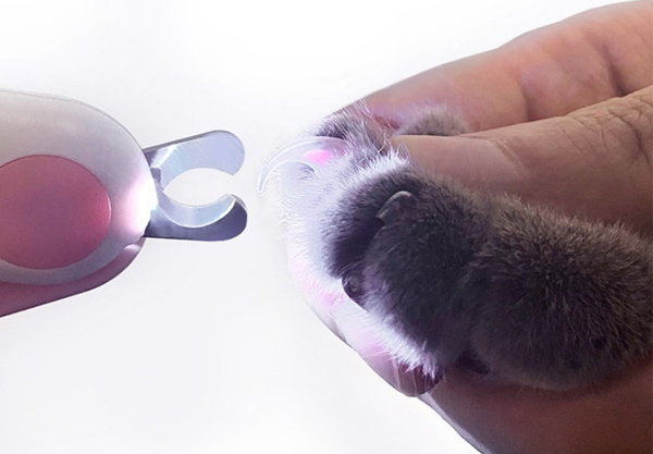 Professional Pet Nail Clipper with LED Light - Two Colours Available