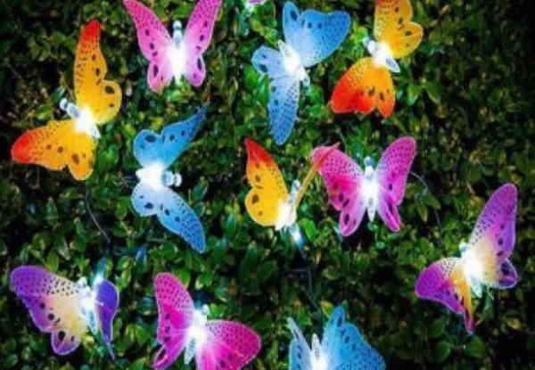 12 x LED Butterfly Garden Lights - Option for 24 Available with Free Delivery