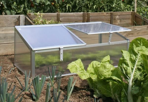 $34 for a Single Mini Greenhouse with Cover, or $53 for a Double