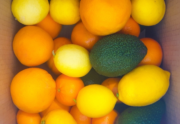 Mixed Box of Hand-Picked Fruit at Optimal Ripeness incl. Avocados, Oranges, Mandarins, Limes, & Lemons