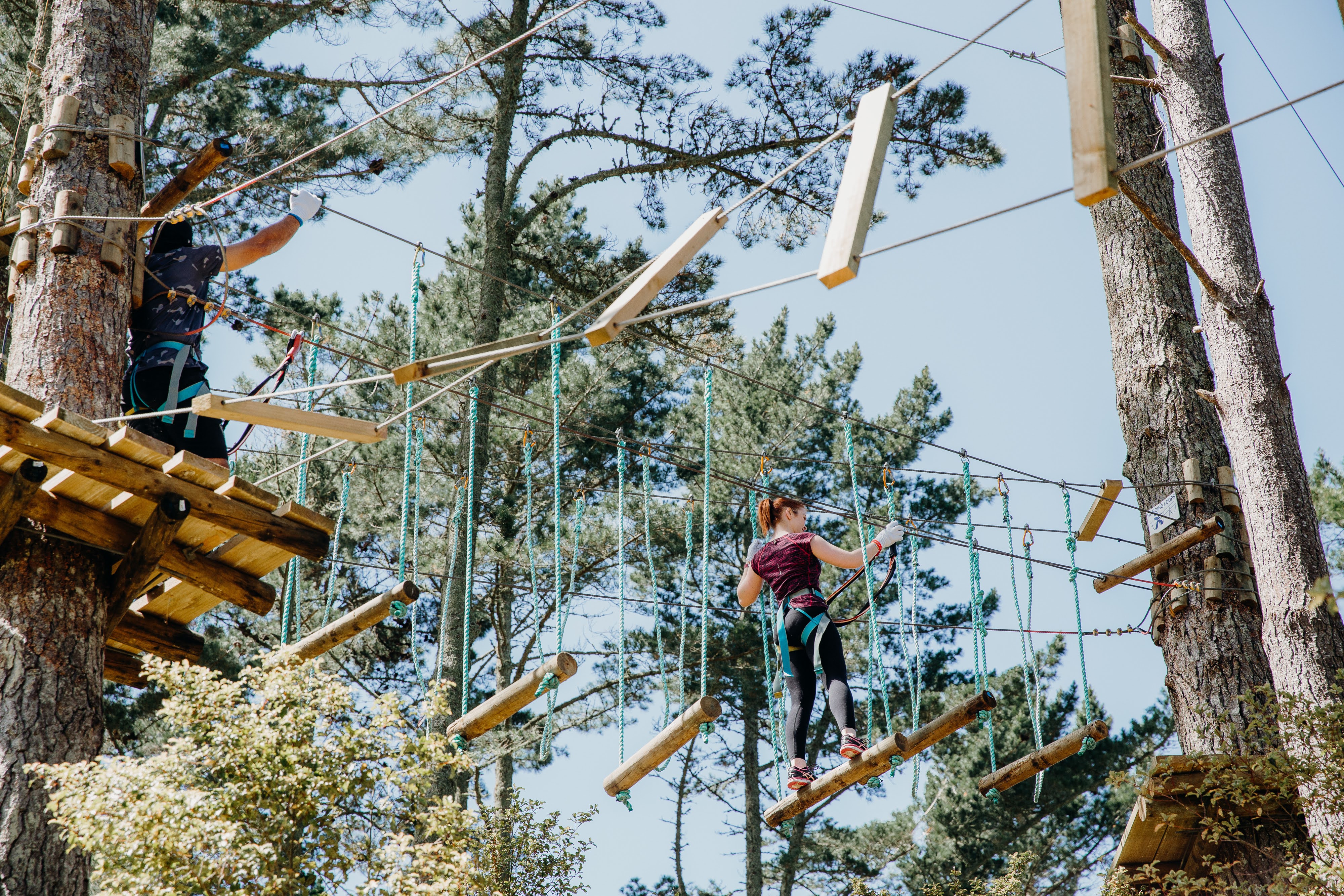 One Adult or Child Admission to Adrenalin Forest Park Christchurch - Valid Thursday to Sunday