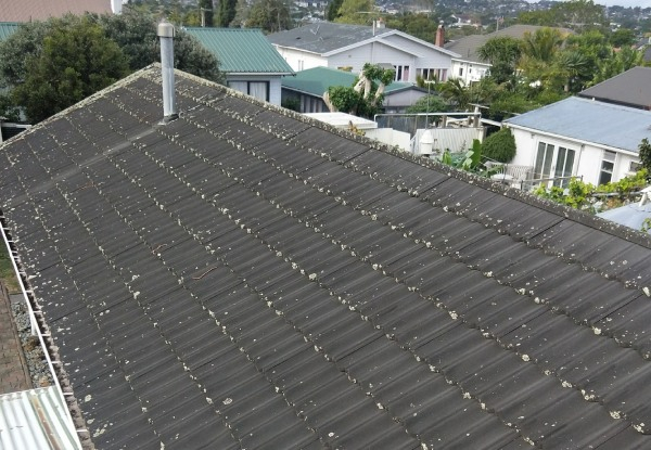 Moss, Mould & Lichen Roof Treatment Package - Four Roof Sizes Available