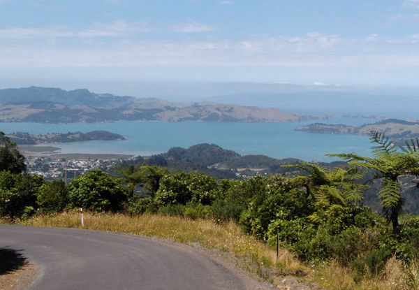 Half-Day Electric Bike Hire in the Beautiful Coromandel