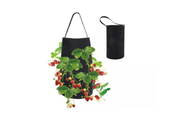 Hanging Strawberry Planting Grow Bag - Option for Two