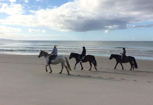 One-Hour Scenic Horse Trek Along Pakiri Beach- Option for Two People