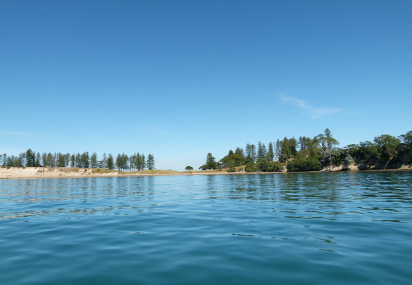 Riverhead Boat Cruise Pass incl. Drink - Option For Motuihe Ferry Day Trip