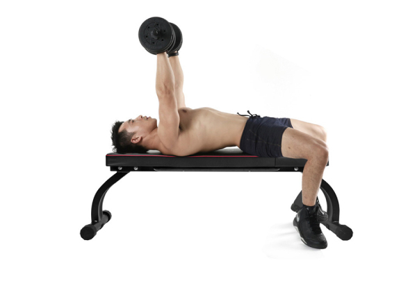 Bench for Weight Training & Ab Exercises