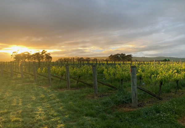 Food & Wine Experience for Two People in Hawkes Bay incl. 10% Discount off Any Hawkes Ridge Goods