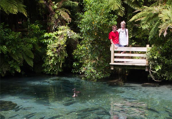 One Adult Entry or One Child Entry to Paradise Valley Springs Wildlife Park