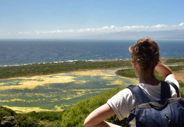 Kapiti Island Day Trip incl. Ferry Transport, Introductory Talk & DOC Permit for One Person - Option to incl. One-Hour Guided Walk & Lunch - Midweek & Weekend Options Available