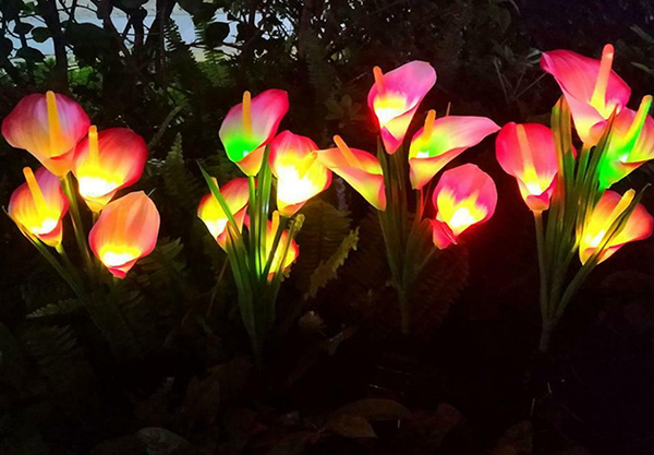 Solar-Powered Calla Lily Flower Lights - Four Colours Available
