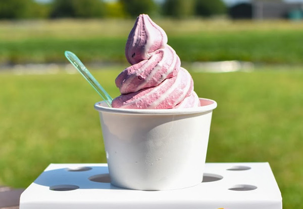 Two Real Fruit Ice Creams at Ruakura Berry Shop