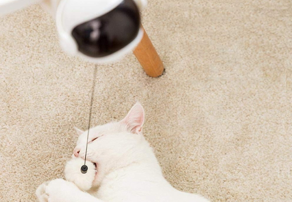 Interactive Automated Cat Toy