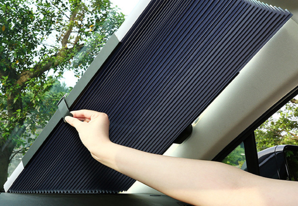 Retractable Car Curtain - Three Sizes Available