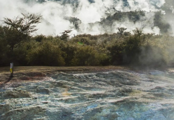 Wai-O-Tapu Thermal Wonderland & Lady Knox Geyser Family Pass for Five $126.26 or Adults $51.56