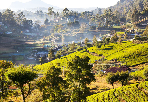 Discover Sri Lanka 13 Day Tour for Two People incl. Accommodation, Breakfasts, Transportation, Entrance Fees with English Speaking Tour Guide & More