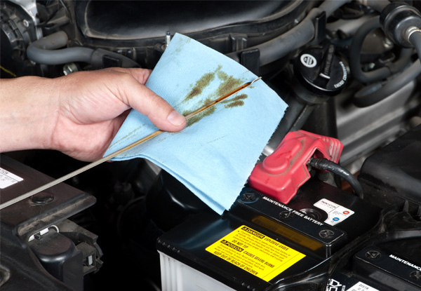 Comprehensive Vehicle Service & Diagnostic Scan - Options for Petrol or Diesel Vehicles