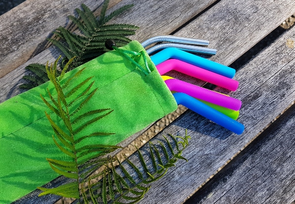 Reusable Straw Set incl. Bag & Brush Cleaner with Free Urban Delivery