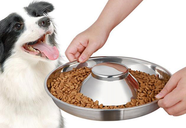 Stainless Steel Pet Slow Feed Bowl - Three Sizes Available