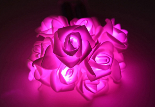 20 LED Rose Fairy Lights - Two Colours Available & Option for Two or Four