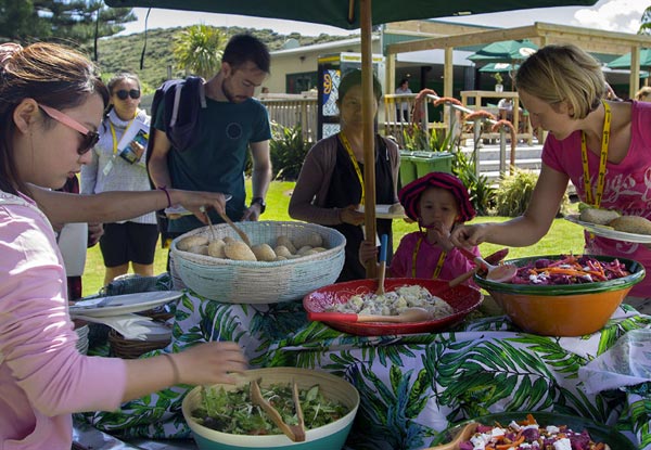 Discover the Bay - Hole in the Rock Cruise incl. BBQ Lunch & Island Stop-Over with Options for Child or Two Adults