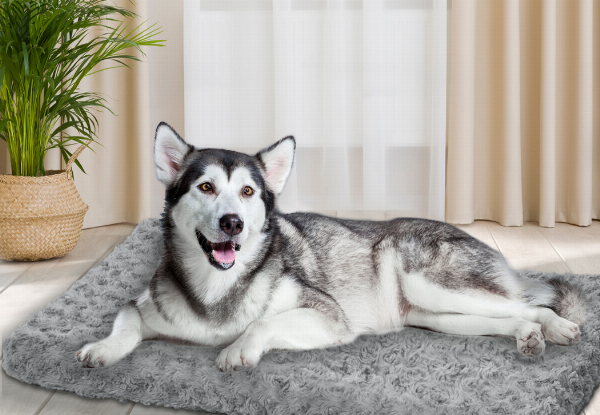 Pet Soft XL Cushion Mat