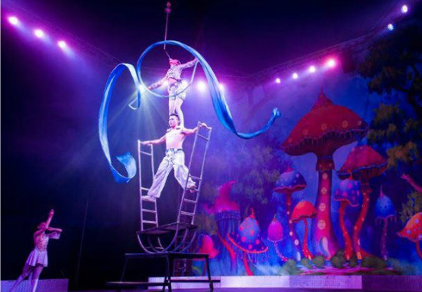 Ticket to the Brand New 
'Cirque Grande' - Option for Child's Ticket Available