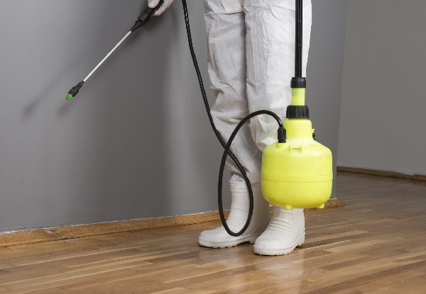 Interior & Exterior Pest Control Service for a Single-Storey One-Bedroom House - Options for up to a Five-Bedroom House