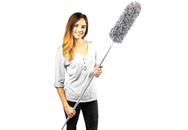 Retractable Dust Brush - Option for Two