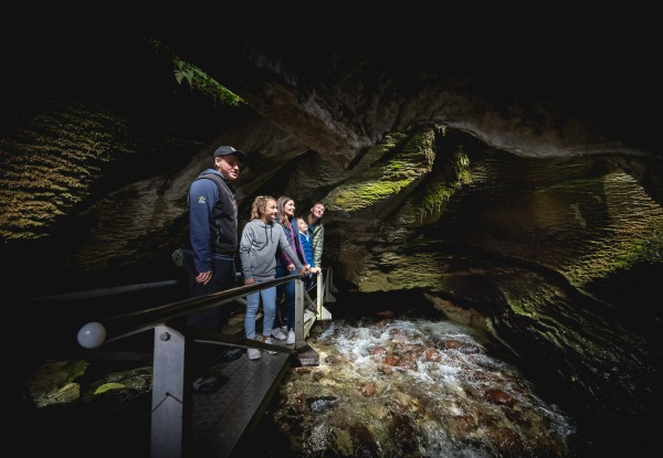 Per-Person, Twinshare, Five-Day Fiordland Trip & Cruise incl. Two Night Cruise, Car Rental, Accommodation, Boat Transfer, Glow Worm Excursion & More