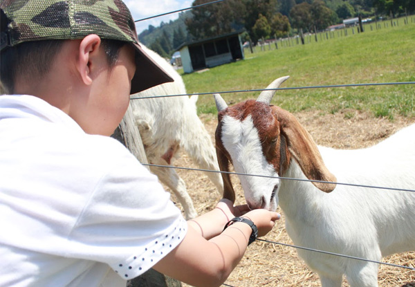Farm Tour at Rotorua Heritage Farm - Options for Adult, Child or Family Pass