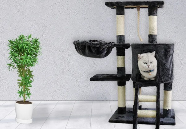 Cat Condo Tower Activity Centre - Four Sizes Available