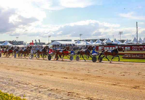 Addington Raceway - Back on Track incl. Drink on Arrival, Racebook, Buffet Meal & $5 Betting Voucher - Options for up to Six People