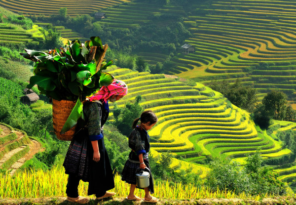 Per-Person Twin-Share Six-Night, Seven-Day North of Vietnam Package incl. Return Airport Transfers in Hanoi, Some Meals, a Cooking Class & More