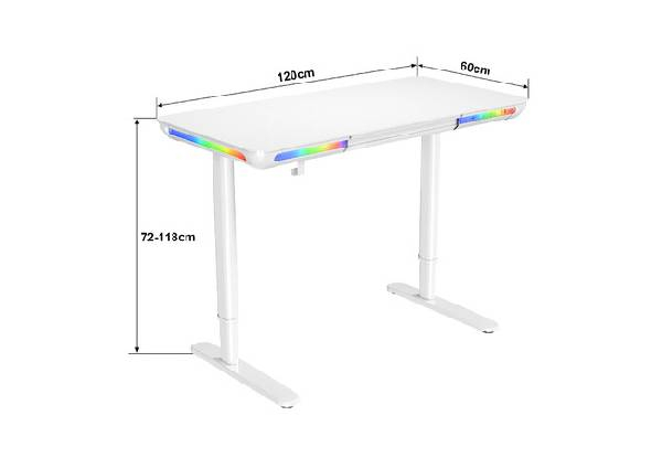 Electric Motorised Standing Desk with LED & USB Ports
