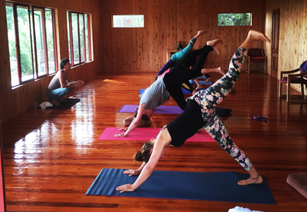 Per-Person, Quad-Share, Four-Night Golden Bay Shambhala Yoga Retreat - Option for Twin-Share or a Double Cabin for One or Two People