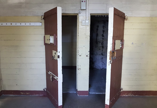 Escape Room Experience at Napier Prison - Options for up to 12 People - Option for Prison Tour & Escape Room Combo
