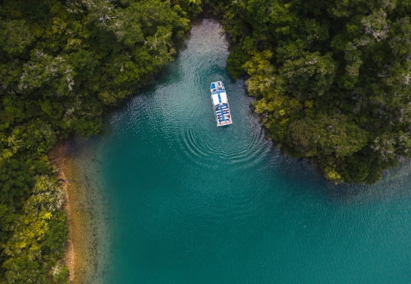 Pelorus Mail Boat Scenic Cruise Through the Marlborough Sounds - Option for Adult or Child