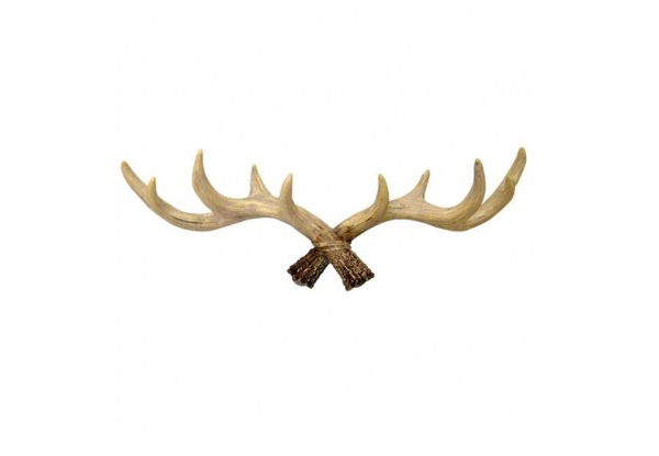 Resin Deer Antler Wall Hooks - Two Colours Available