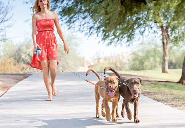 Three-Metre Dual Retractable Dog Walking Leash