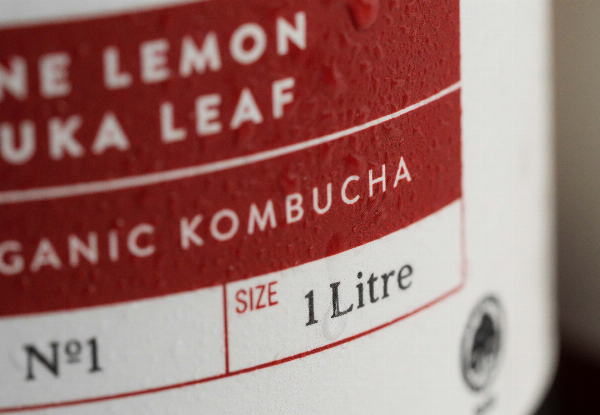 Six-Pack A-Series Gisborne Lemon & Manuka Leaf Premium Organic Kombucha